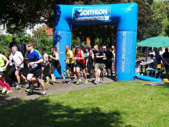 Auf die Plätze, fertig, los! 50 Läufer nehmen an dem Spendenlauf der Hotelfachschule Edenkoben durch die Weinberge teil.